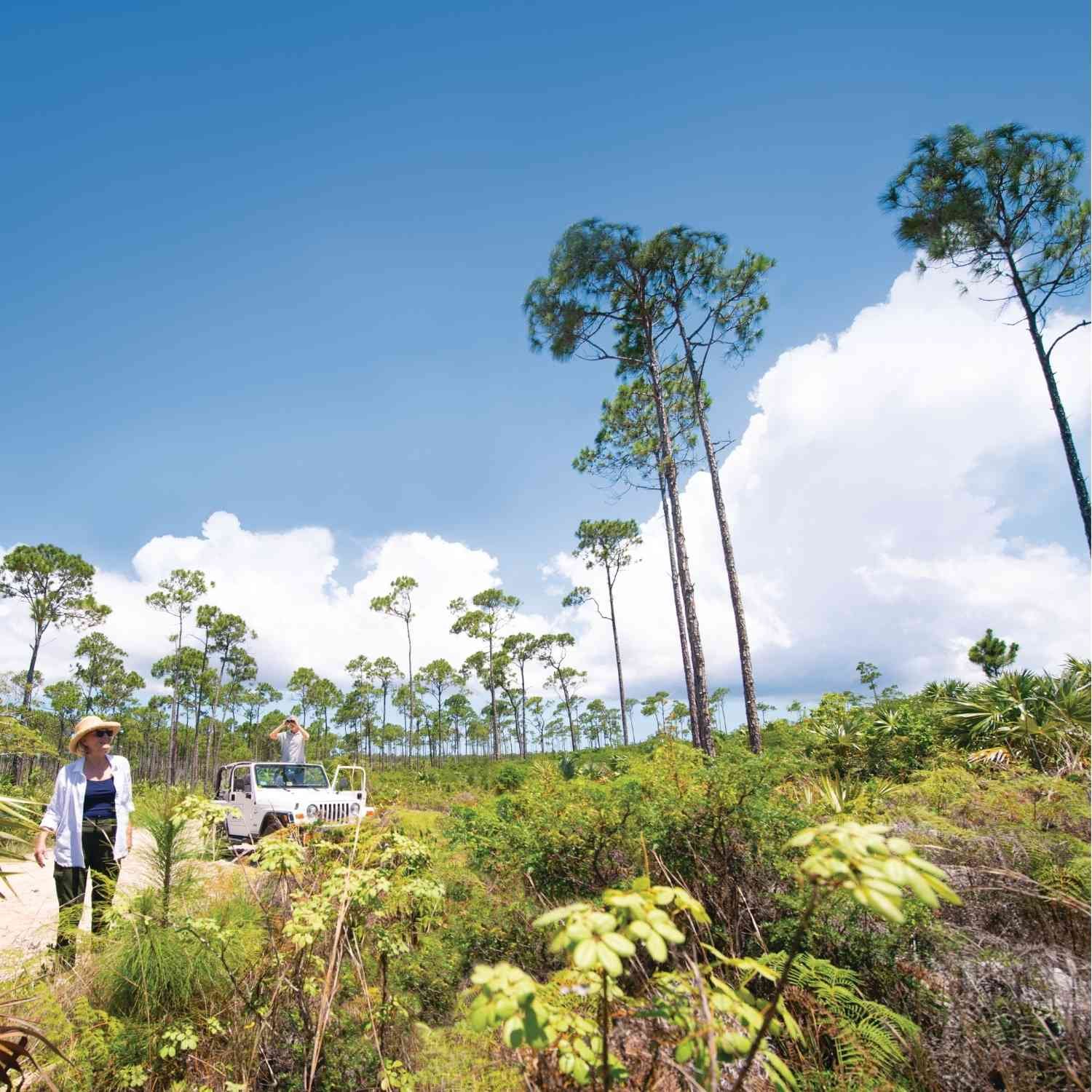 Lucayan National Park, Grand Bahama